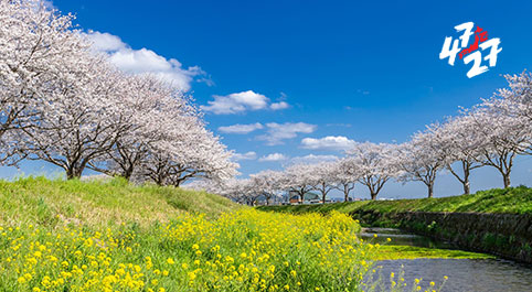 Kyushu Region Banner